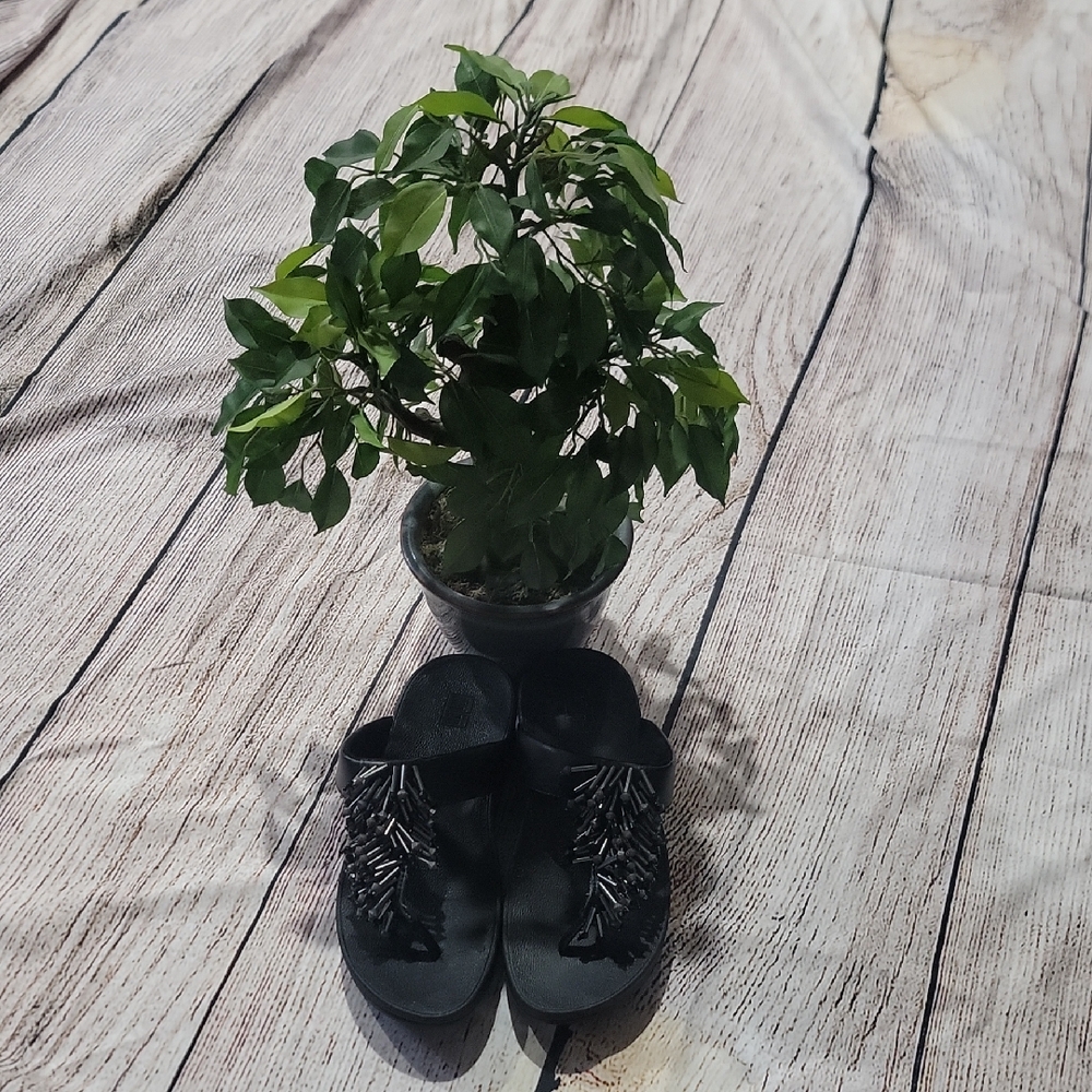 Fitflop Black Women's Sandals - Picture 2 of 5
